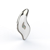Masseur facial Gua Sha en acier inoxydable, étanche, à micro-courant, technologie galvanique, pour usage domestique