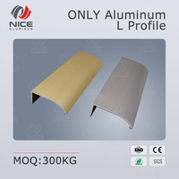 Profilé en L en aluminium, barre en L continue, léger, anodisé clair, profilé de poignée en forme de L, décorations, couleur personnalisée, durable