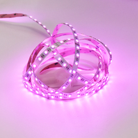 Bande LED RVB pleine couleur SMD 5050/3528, adressable RVBW, 14W/m, bande lumineuse intelligente, prise en charge de la télécommande