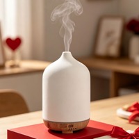 Diffuseur d'huiles essentielles en céramique, diffuseur d'arômes ultrasonique, humidificateur d'air, lumière LED 7 couleurs, décoration pour la maison