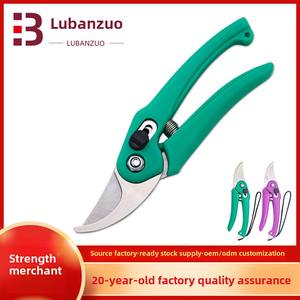 Produttore di Yangjiang in acciaio inox Bypass potatura cesoie da giardino innesto forbici per il fiore ramo di becco potatura giardinaggio - Product Image 2