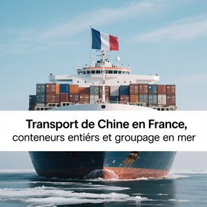 Direkter FCL LCL Tür-zu-Tür-Seeschiff fahrt service Von Xiamen China nach Nizza Cannes Frankreich Spediteur - Product Image 2
