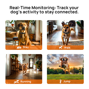 Collier de dressage sans fil GPS pour chien, étanche IPX7, <span class=keywords><strong>anti</strong></span>-perte, pour extérieur, avec clôture électrique et système de confinement pour le camping - Product Image 6