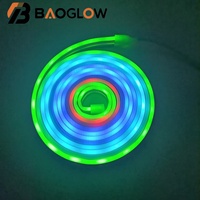 Tira de Luces LED RGBIC de Neón con Control Remoto, Resistentes al Agua IP67, USB 5V, Cambio de Color, para Decoración de Festivales al Aire Libre