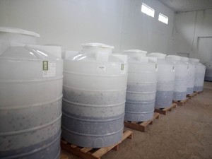 WG MARQUE <span class=keywords><strong>BIO</strong></span> Jus De Noni EXPORTATION VERS Fidji Malaisie Vietnam Palawan Tahiti Indien Samoa Vdelta Laos hawaï - Product Image 4