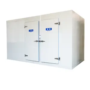 Salle frigorifique Conteneur réfrigéré Congélateur Salle de refroidissement de plain-pied pour l'entreposage frigorifique de la viande