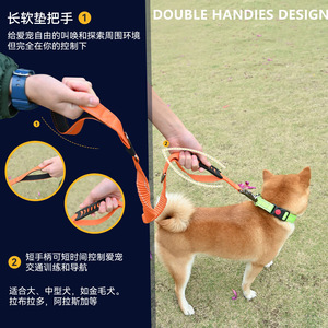 Elastic Dog Leash Orange Medium Size Retractable Pet Walking Lead - Product Image 4
