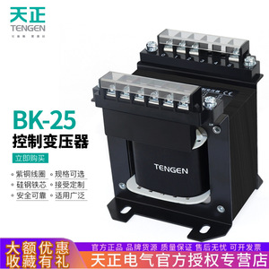 Transformador de Control Tengen BK-25VA 380/220 a 110/36/24/12V Monofásico Sumergido en Aceite - Product Image 5