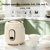 Mini-cuiseur à riz électrique 220V, cuisson rapide, revêtement antiadhésif, avec tasse doseuse et spatule, idéal pour étudiants, seniors et personnes célibataires