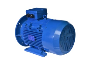 Moteur à induction AC 15 2 pôles, couple élevé, triphasé, série IE1 - Product Image 2