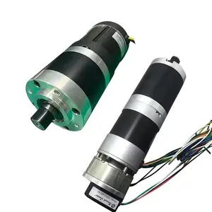 Brushless High Torque 12v 24v 36v 48v Upto 320v Brush Or Brushless Dc Machine Motor For Agricultural Industrial Equipment Home Electrical