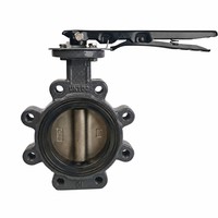 Katup Kupu-kupu Tipe Lug yang Dioperasikan dengan Tuas Manual, Badan Besi Ulet, Cakram CF8, Dudukan Lunak EPDM, PN16 untuk Pipa Air HVAC Bangunan