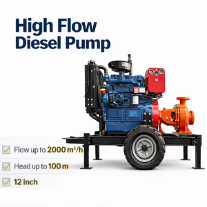 Pompa Acqua Diesel per Impieghi Gravosi Serie QI, Pompa Centrifuga Monostadio, Portata 3.8-1200 M³/h, Garanzia 3 Anni per Grandi Impianti - Product Image 1