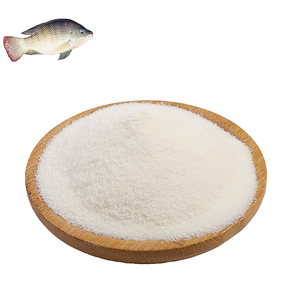 Polvo de proteína de Colágeno Hidrolizado de pescado de calidad alimentaria para estabilizadores espesantes Bases de goma de mascar potenciadores de nutrición - Product Image 1