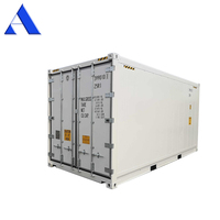 Container Refrigerato High Cube NUOVO di Zecca Thermo King, Lunghezza 20 Piedi, in Vendita