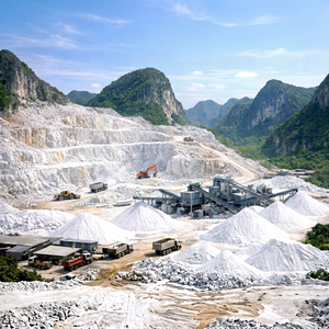 Peinture pour bateaux à base d'époxy, carbonate de calcium précipité (CaCO3), qualité alimentaire, calcaire blanc du Vietnam, livraison rapide - Product Image 1