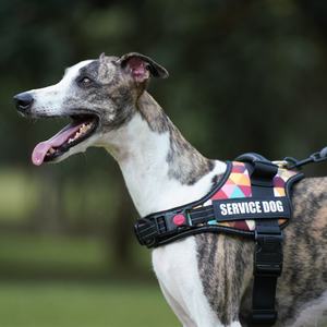 工場直販カスタム 反射ナイロン 調節可能 高耐久 犬用ハーネス 引っ張り防止 ペットハーネスベスト 屋外用ネームパッチ付き - Product Image 4