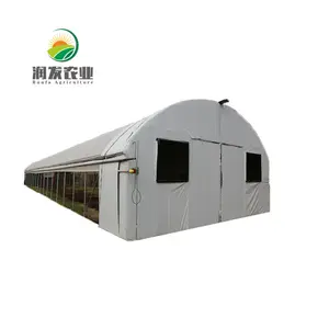 Low Cost Commercial Mushroom Green House For Sale