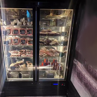 Réfrigérateur de maturation à sec pour bœuf, certifié CCC, pour cuisine de restaurant, refroidissement dynamique par air, contrôle numérique de la température, garantie 1 an, 2 portes