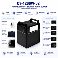 Centrale Électrique Portable Personnalisée 1200W 1152Wh avec Panneau Solaire, Générateur LiFePO4 MPPT, Sortie AC à Onde Sinusoïdale Pure, pour Camping et Secours d'Urgence (US)