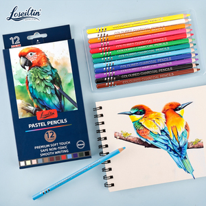 Ensemble de crayons scolaires personnalisés Loseiltin avec logo, 12 crayons aquarelles, pinceaux, crayons de couleur de dureté HB, boîte à crayons pour papier - Product Image 4