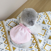 Dernier printemps été robe en dentelle pour chien de compagnie confortable style de loisirs motif solide vêtements pour chien adorable