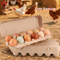 Échantillon gratuit, vente en gros, boîtes à œufs en papier pulpe antichoc, cartons, 1 douzaine, 12 paquets vides pour œufs de poule, en stock auprès du fournisseur