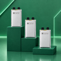 Sel Baterai Solid State YJ Power 340Wh/kg 40000mAh 3.7V 5C Ultra Ringan 425g untuk Paket Drone Kecil dan Sensor EVTOL