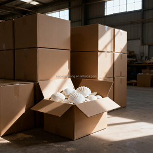 أصداف بحرية بيضاء بالجملة للزينة وديكور حفلات الزفاف وحفلات الشاطئ وفنون الأطفال والحرف اليدوية - Product Image 3