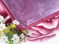 Couverture en polaire Raschel douce et confortable de style coréen, sur mesure, nouvelle, multicolore, taille king, 12 kg, épaisse, pour toutes les saisons