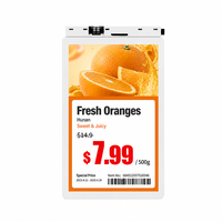 Étiquette de rayon électronique 10,1 pouces, étiquette de prix numérique, écran LCD IPS couleur, WiFi, Bluetooth, affichage intelligent pour supermarché, ESL, blanc