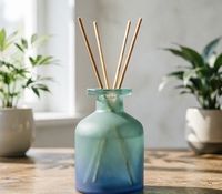 Bouteille diffuseur de parfum Sishang 100 ml en verre coloré, grande capacité, pour la maison, purification de l'air, huiles essentielles aromatiques