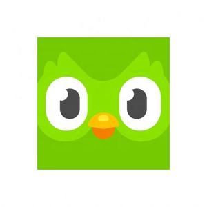 Cuenta Global de Duolingo, Duolingo Premium, Duolingo Super, 1 Año, 1, 3, 6, 12 Meses, Vincula tu Cuenta - Product Image 1