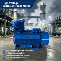 Motor Anti Ledakan 6KV 10KV Rumah Besi Cor Kelas F Isolasi Tahan Suhu Rendah Motor Anti Ledakan Tegangan Tinggi
