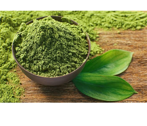 Extrait doux de thé vert Camellia Sinensis en poudre botanique naturelle pour mélanges de thé, préparations de boissons et formulations alimentaires - Product Image 2