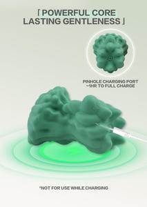 2026 Nieuwe Vibrerende Massager voor Vrouwen, Multi-Frequentie Vibrerende Masturbatieproduct, Vier Modellen Beschikbaar, Siliconen Vibrator - Product Image 3