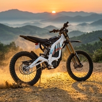 Moto tout-terrain électrique Surron Light Bee Wholesale LBX White 10000W Gonped Surron