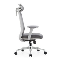 Chaise de bureau ergonomique en maille, réglable et confortable, avec assise haute densité, idéale pour le bureau à domicile, le salon et l'utilisation quotidienne sur ordinateur