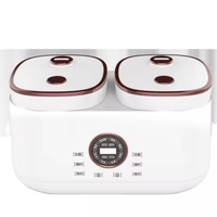 Appareils ménagers multifonctions 2 en 1 Smart 2,0 l grande capacité 2 pots intérieurs Double cuiseur à riz