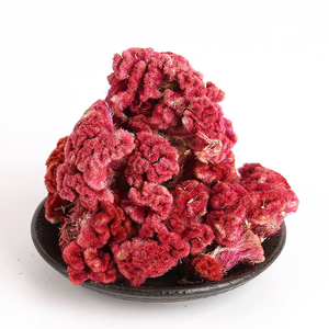 Flor de gallo seca natural de alta calidad, flor de <span class=keywords><strong>celosia</strong></span> cristata blanca/roja - Product Image 2