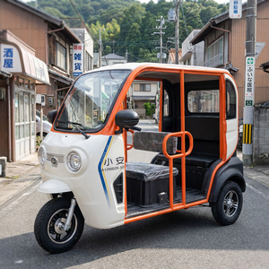 Tricycles et motos <span class=keywords><strong>électrique</strong></span>s miniatures 60V très demandés, versions sans porte/avec porte en option, faciles à monter et à descendre, basse vitesse - Product Image 1