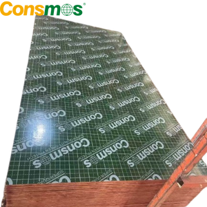 Panneau en plastique PP marin de 18 mm pour la construction - Product Image 1