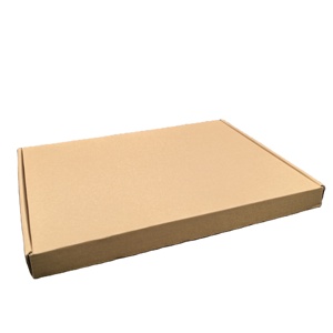 Boîte en carton ondulé recyclable format A4 personnalisée avec impression d'étiquettes en feuille d'or et gaufrage pour cadres de dessins, livres, vêtements, envois postaux - Product Image 1