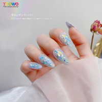 Kosmetik Chameleon krom serpihan holografik kuku holografik bunglon serpihan WARNA Shift pigmen Eye Shadow bubuk penggunaan cat