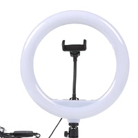 Offre Spéciale Usb Led Beauté Lampe Maquillage Anneau Lumière 12 Pouces Tiktok Éclairage Photographique avec Trépied Support de Téléphone pour youtube