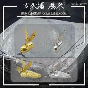 Autocollant de voiture de luxe personnalisé en métal 3D avec logo personnalisable, ailes d'aigle, décoration pour capot moteur - Product Image 3