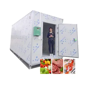 Hello River Brand Walk in Freezer Refrigeration Equipment Container Swing Provided Sustainable Machinery Engines Parts 200 50ton