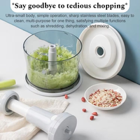 Draagbare handmatige grinder fabriek groothandel Magic Shredder knoflook kruiden groente vlees blender voedselhakker handmatig ABS roestvrij staal