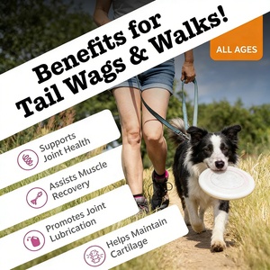 อาหารเสริมบำรุงข้อและสะโพกสำหรับสุนัขแบบ OEM/ODM - กลูโคซามีนผสมคอนดรอยติน วิตามินซีและอี 400 มก. ขนมเคี้ยวแบบนิ่มบรรเทาอาการปวดข้อสำหรับสุนัข - Product Image 2