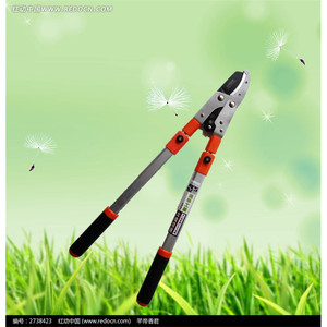 Zhucheng Telescopic Pruning <b>Shears</b> 80cm Blade 30-50mm Trimming Diameter Heavy Duty Garden <b>Tool</b> - Product Image 4